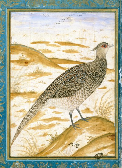 Ein Himalaya-Fasan vor einer sandigen Landschaft, ca. 1620 von Mughal School